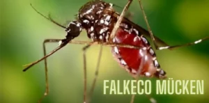 falkeco mücken